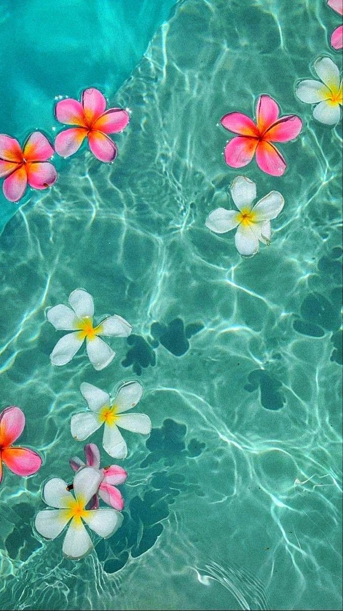 aesthetic beach wallpaper iphone 0066