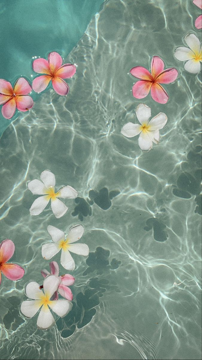 aesthetic beach wallpaper iphone 0080