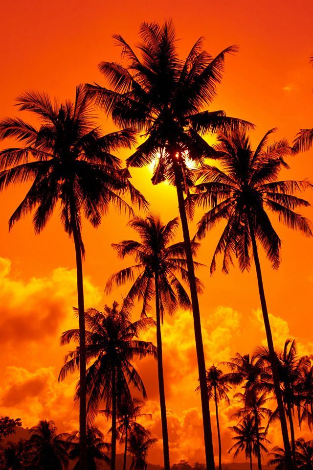 iphone sunset wallpaper 0091