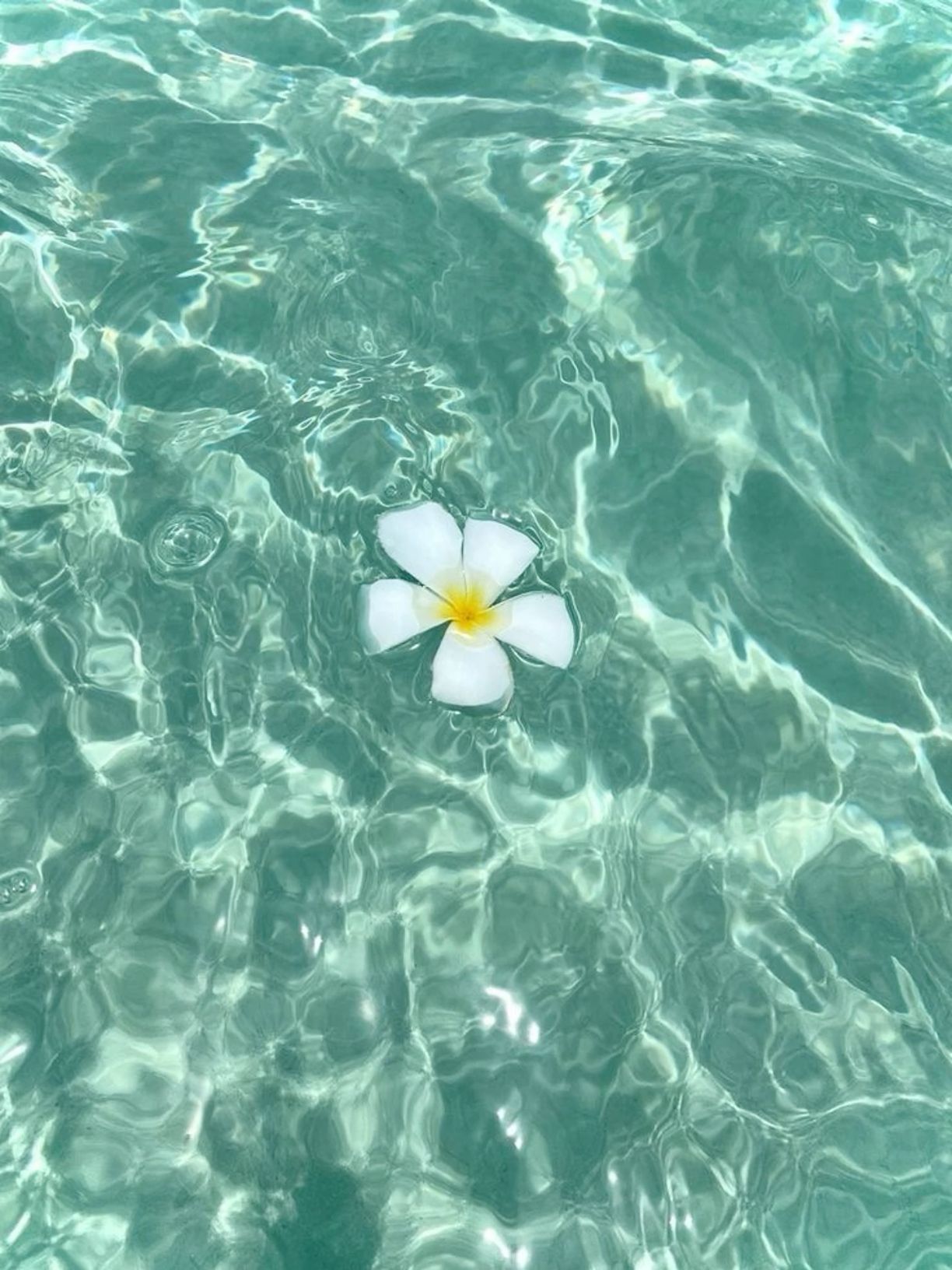 aesthetic summer iphone wallpaper 0041