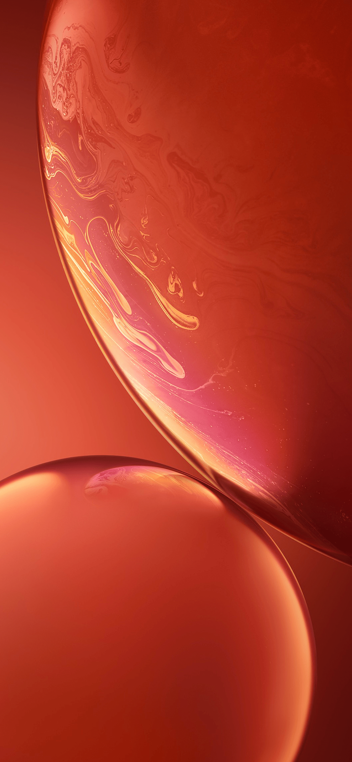 Adorable iphone xr wallpaper to brighten your screen 2024