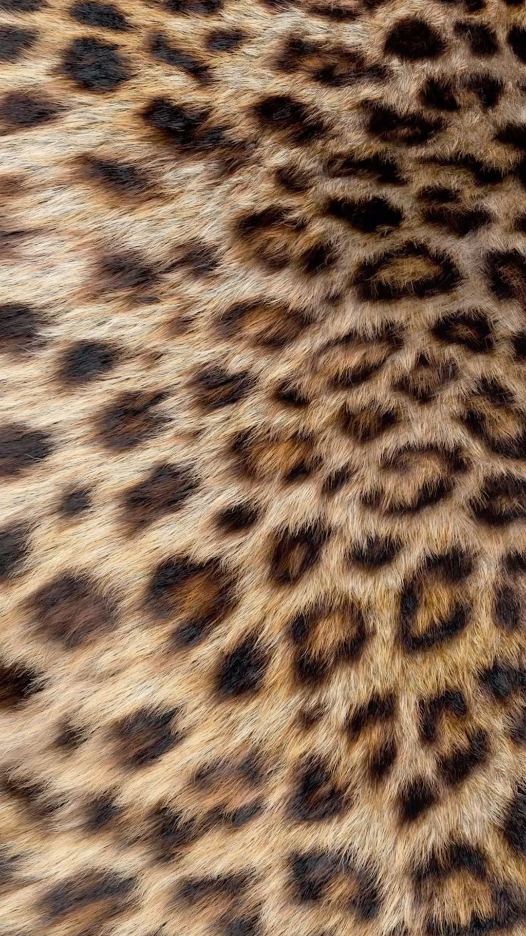 Cheetah wallpaper iphone: captivating designs for your screen