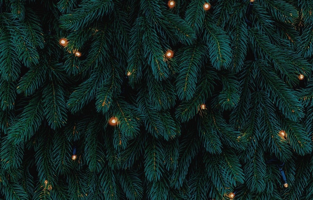 beautiful christmas lights wallpaper for iphone