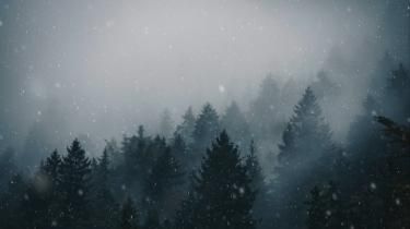 Adorable snow iphone wallpapers to embrace winters charm