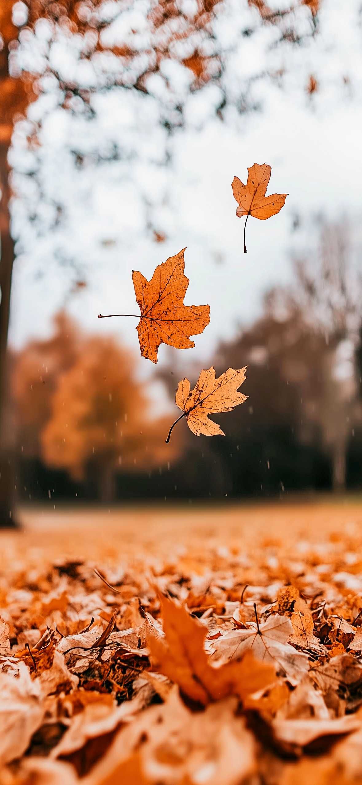 best iphone cute fall wallpaper designs