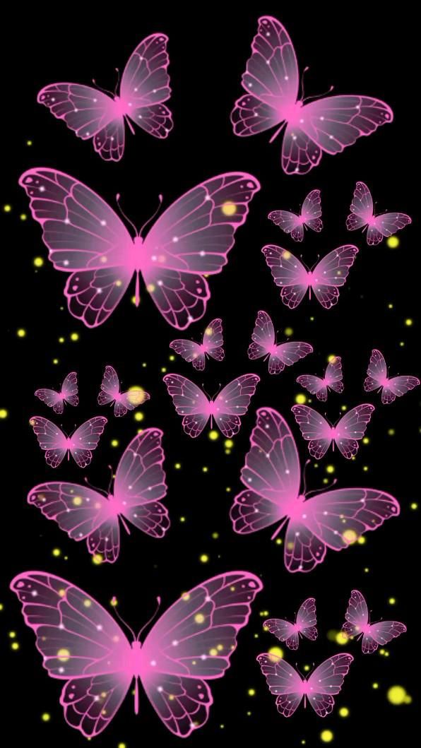 butterfly wallpaper iphone 0060