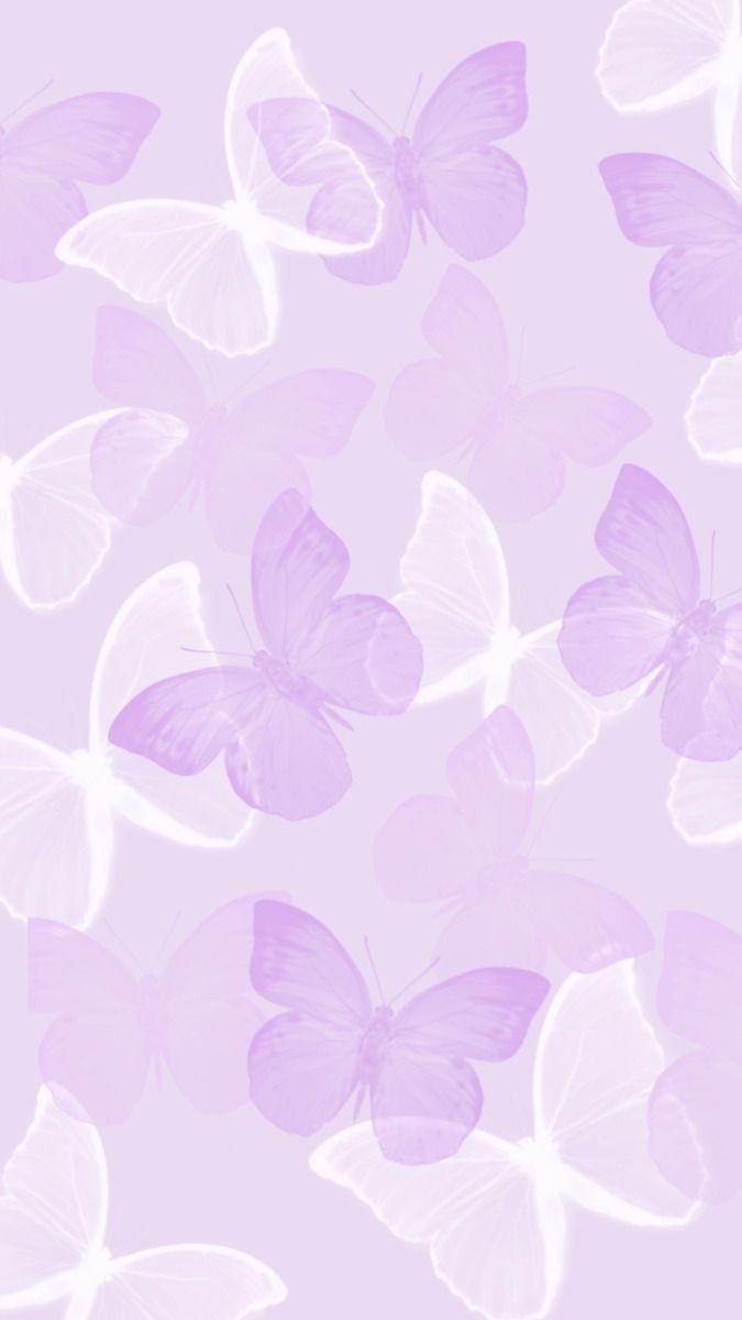 butterfly wallpaper iphone 0088