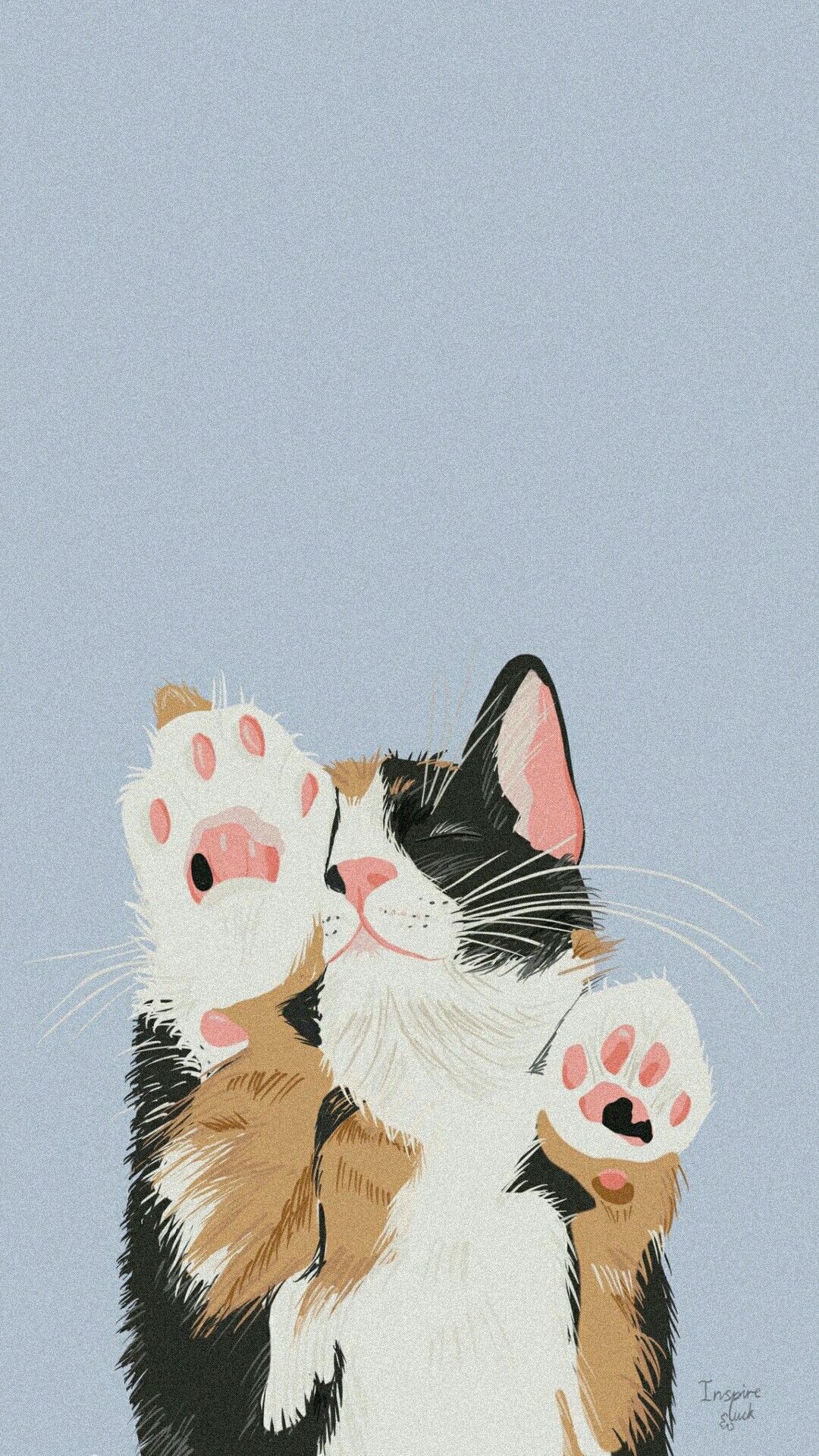 cat wallpaper iphone 0025