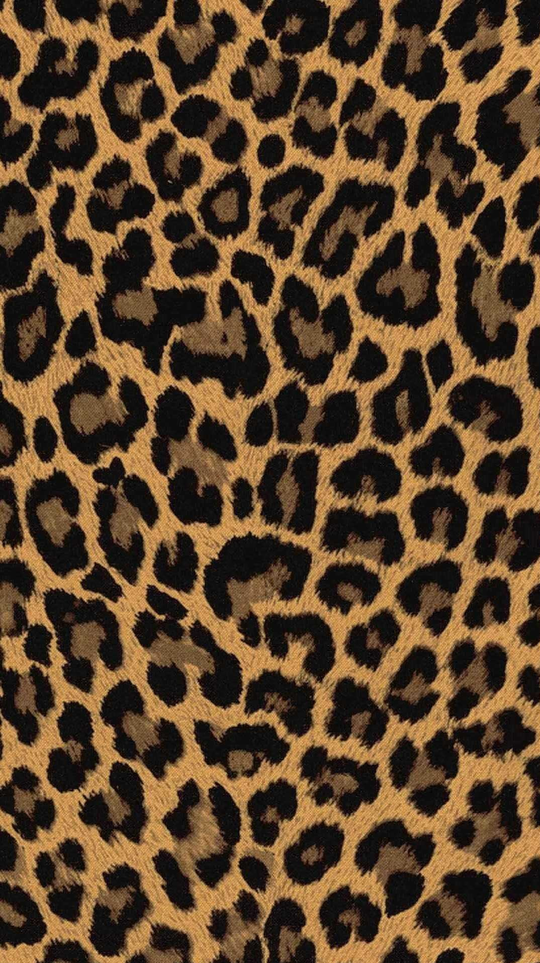 cheetah wallpaper iphone 0035