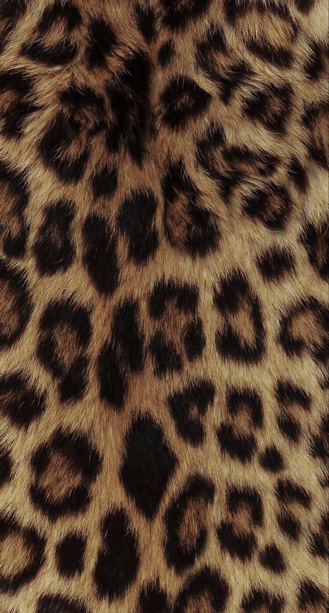 cheetah wallpaper iphone 0043