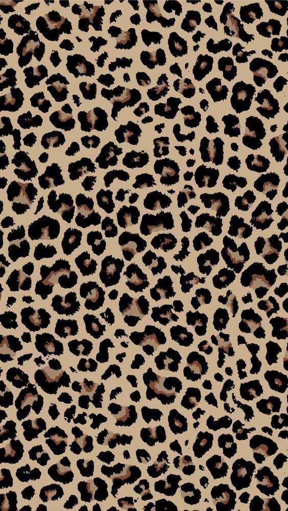 cheetah wallpaper iphone 0044