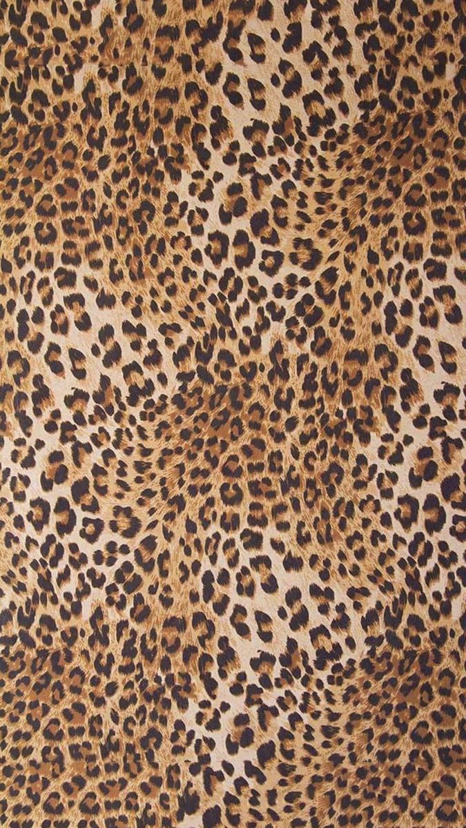 cheetah wallpaper iphone 0047