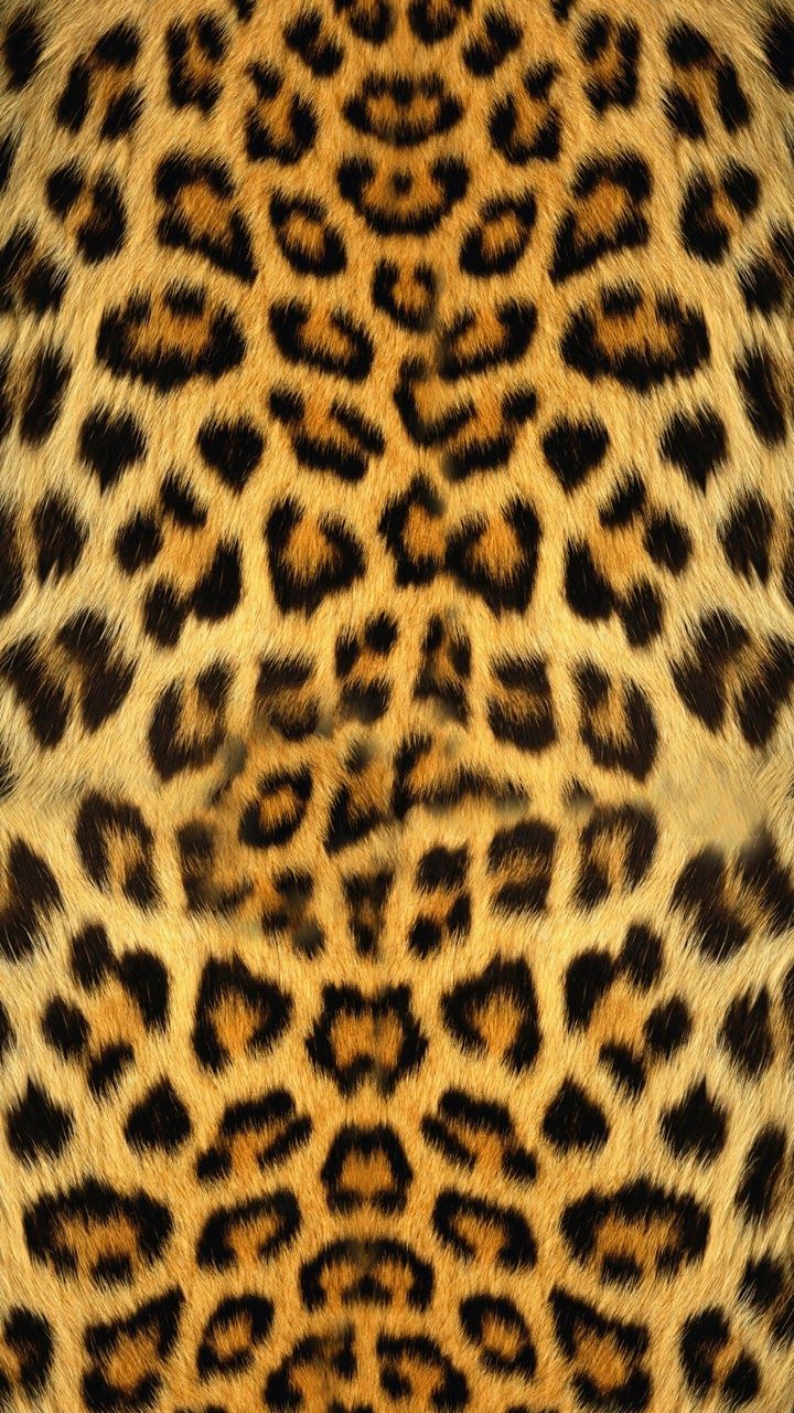 cheetah wallpaper iphone 0049