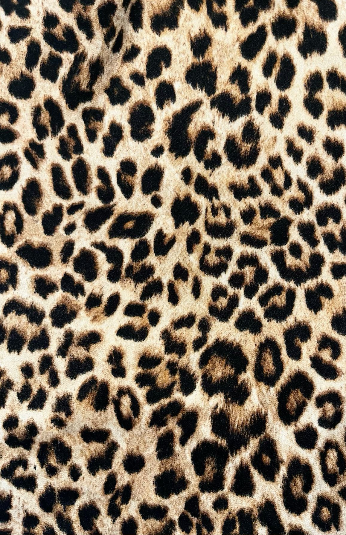 cheetah wallpaper iphone 0050