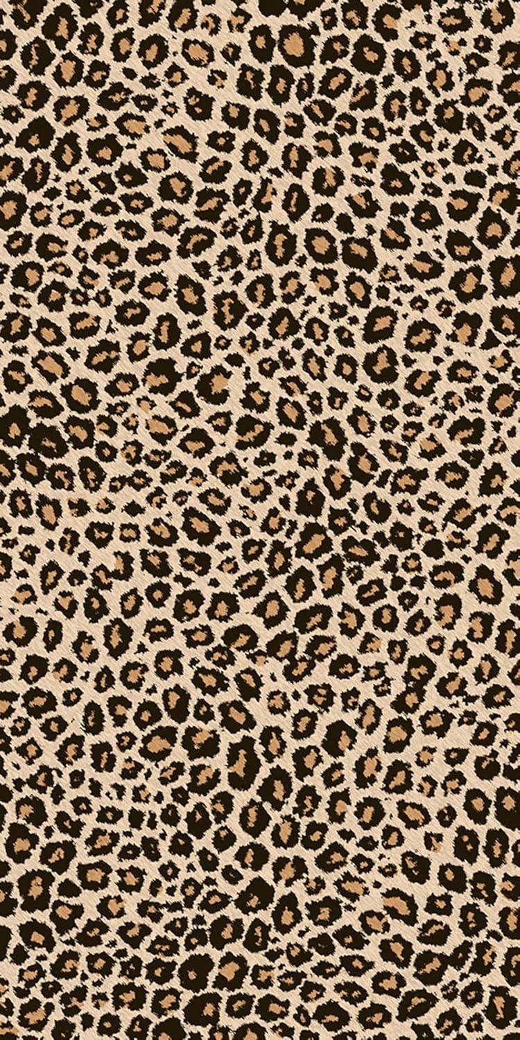 cheetah wallpaper iphone 0054