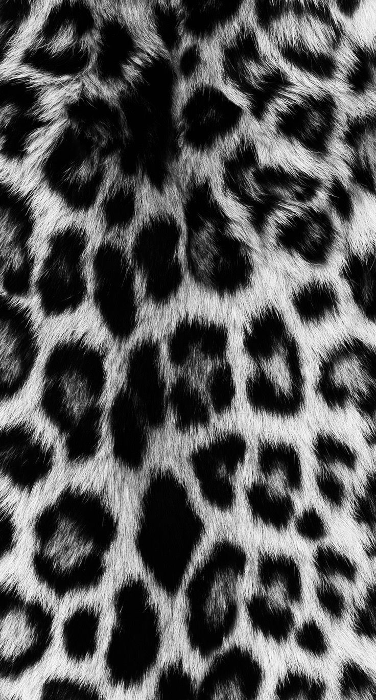 cheetah wallpaper iphone 0055