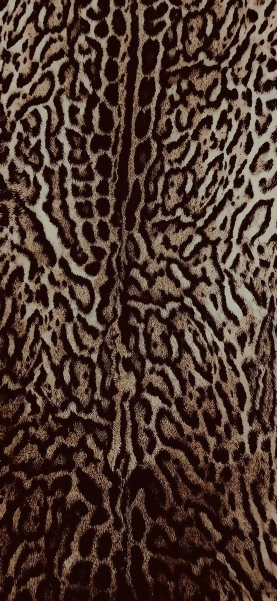 cheetah wallpaper iphone 0070