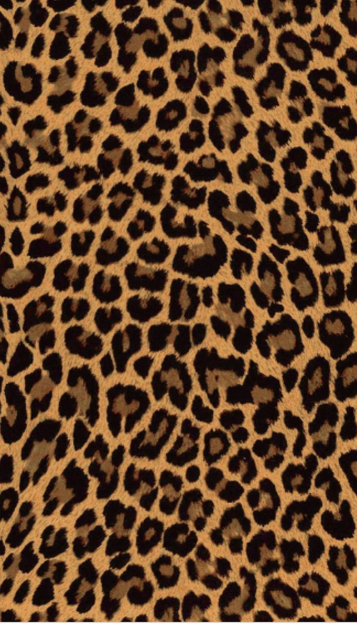 cheetah wallpaper iphone 0080