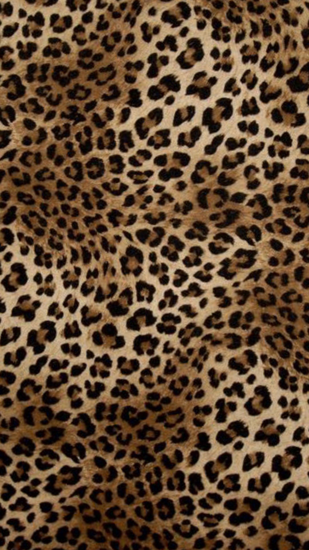 cheetah wallpaper iphone 0090