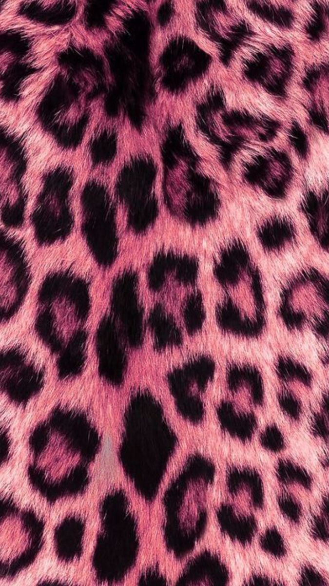 cheetah wallpaper iphone 0091