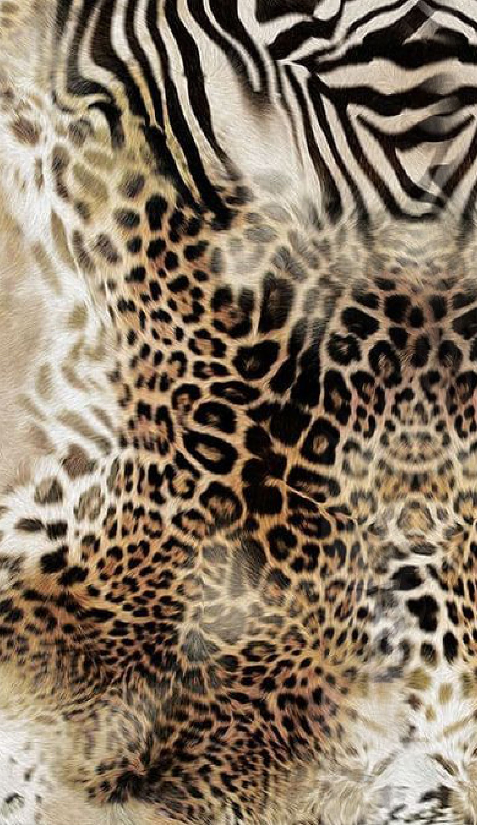 cheetah wallpaper iphone 0092