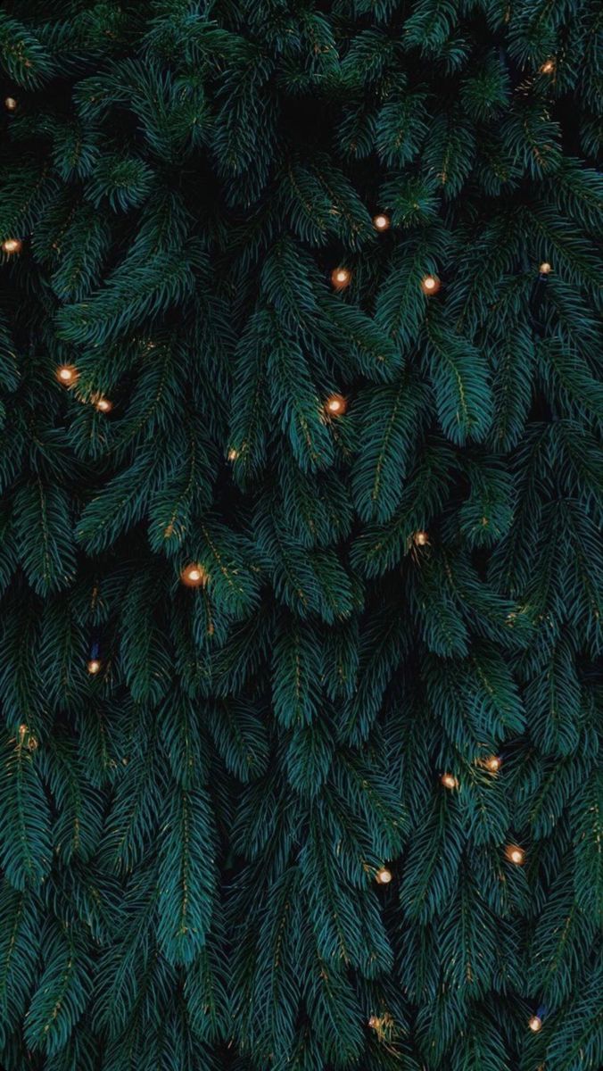 christmas tree wallpaper iphone 0028