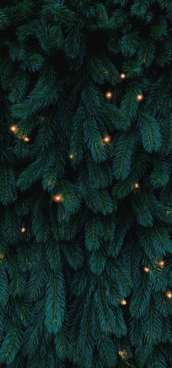 christmas tree wallpaper iphone 0029