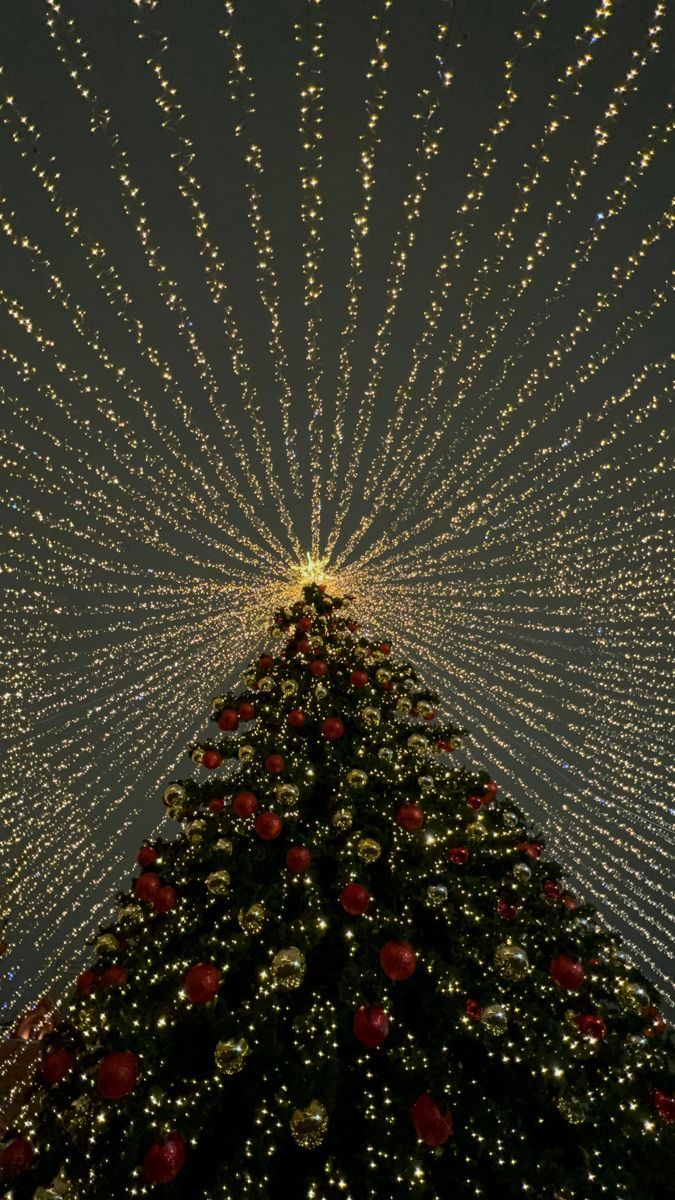 christmas tree wallpaper iphone 0088