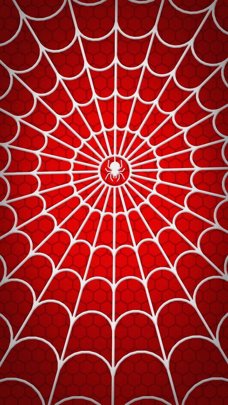 cute spider man wallpaper iphone 0095