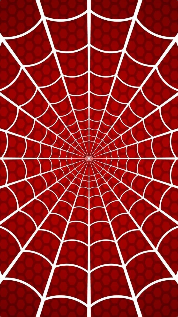 cute spider man wallpaper iphone 0097