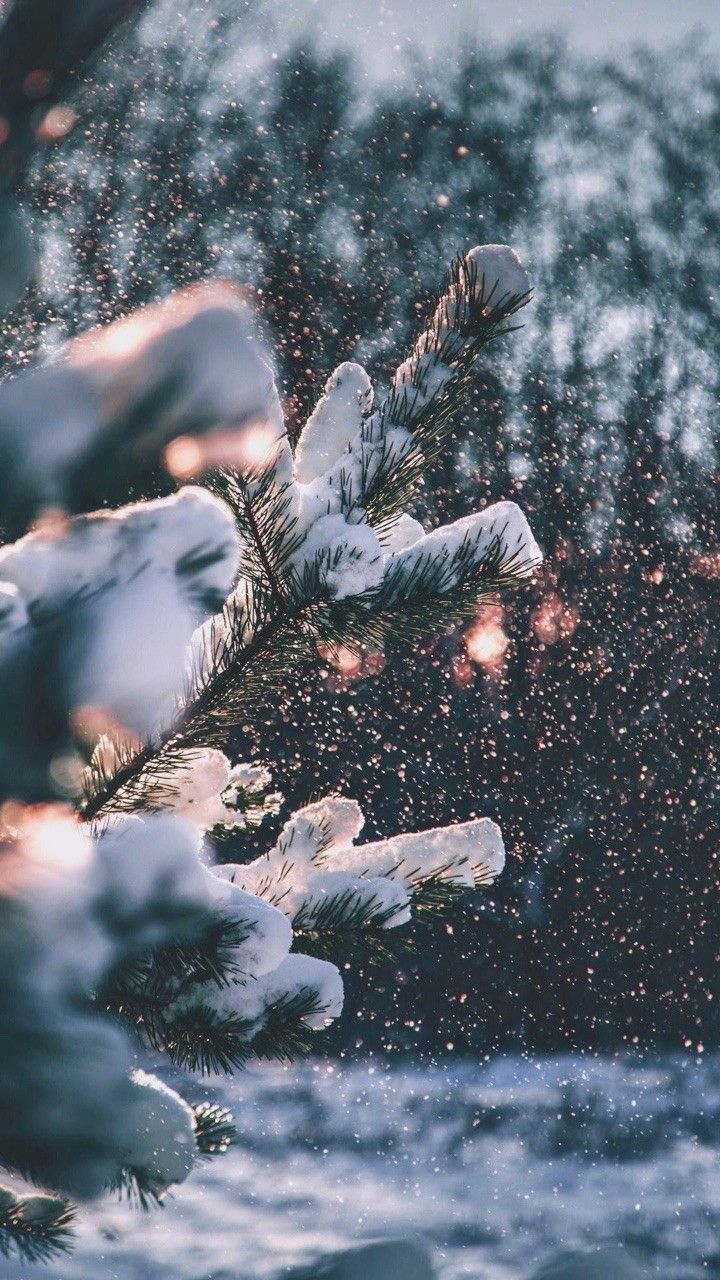 december iphone wallpaper 0021