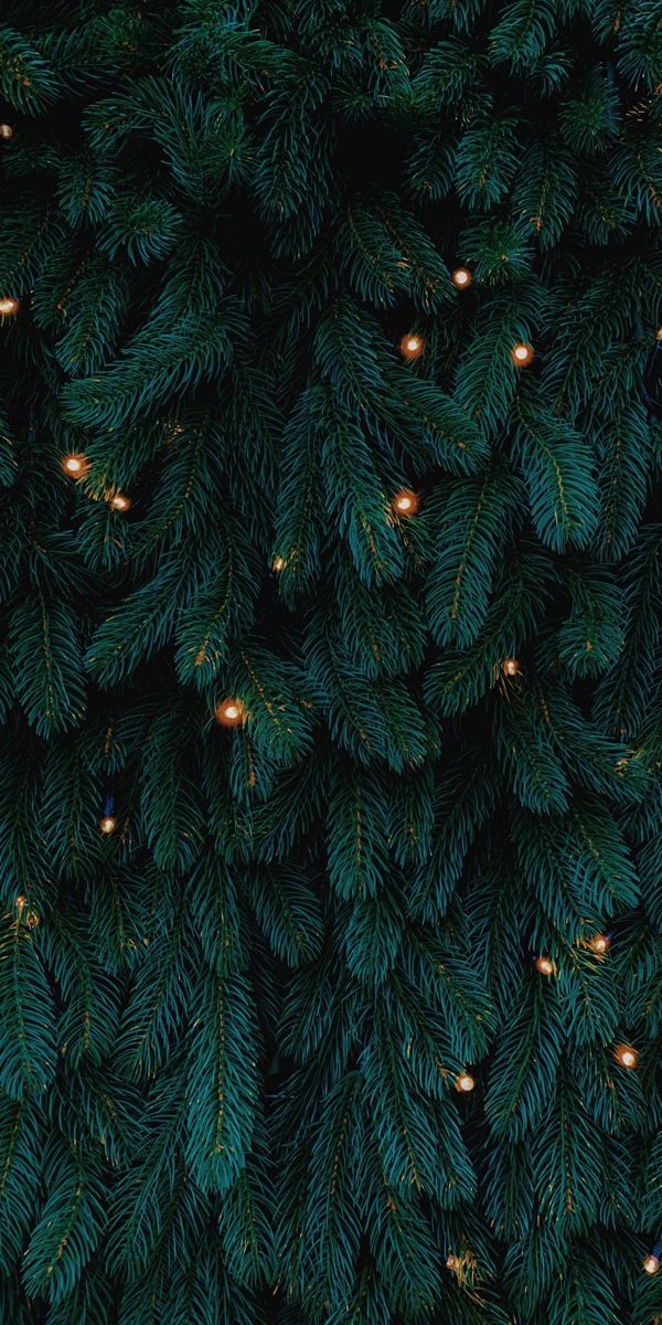 december iphone wallpaper 0028