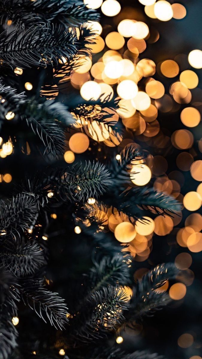 december iphone wallpaper 0073