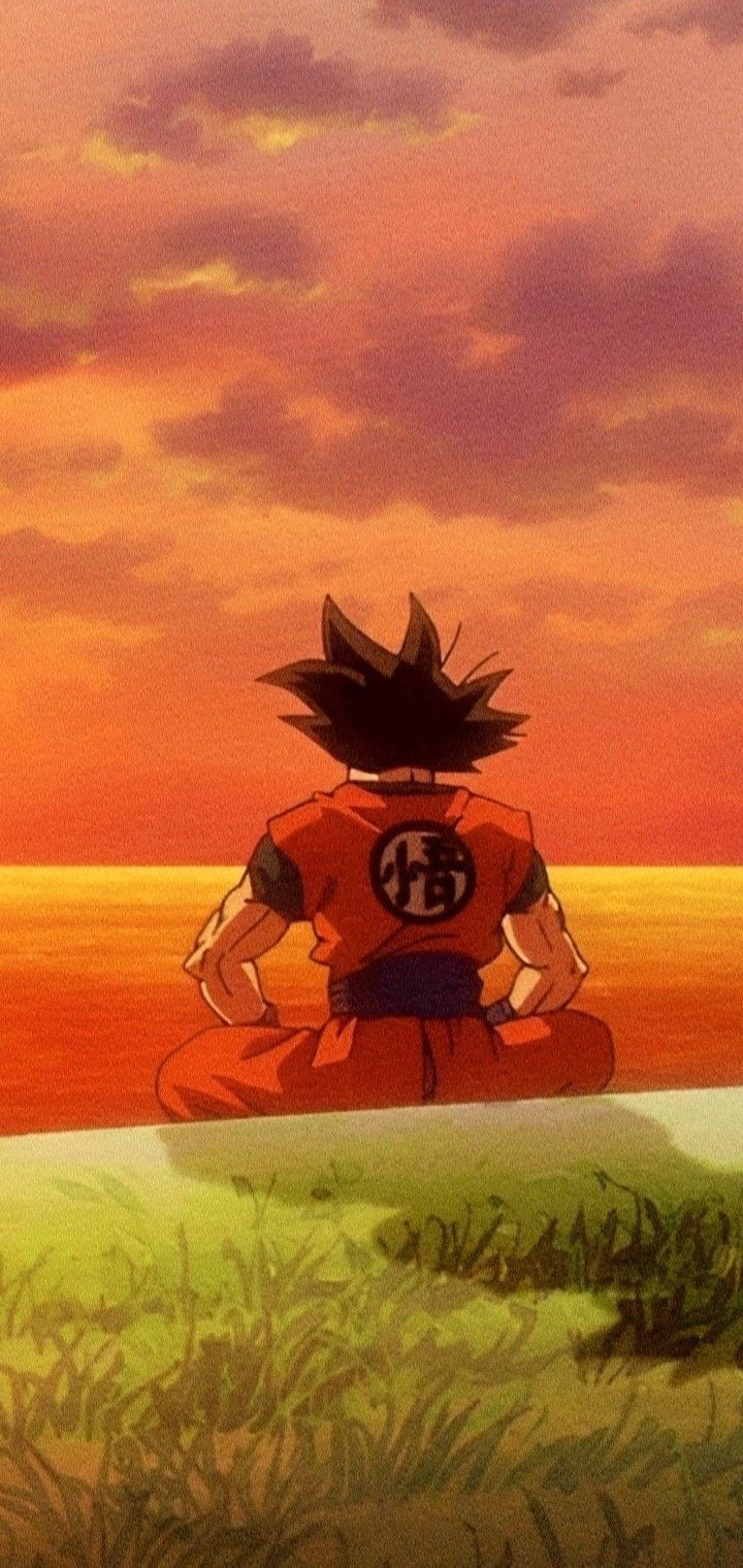 dragon ball z wallpaper iphone 0020