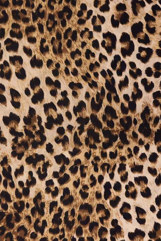 dynamic cheetah wallpaper for iphone