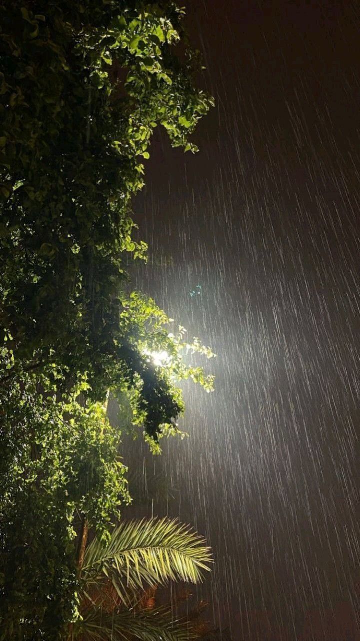 dynamic rain wallpaper for iphone