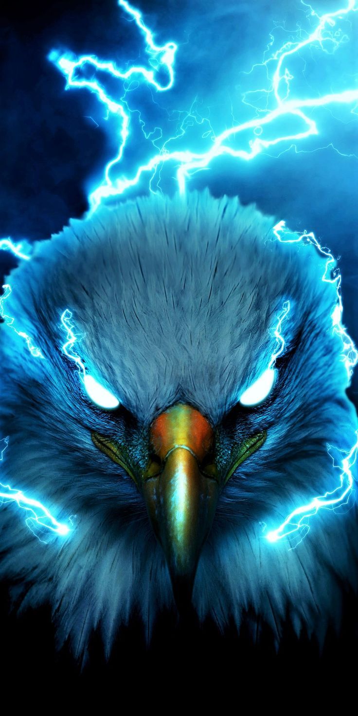 eagles wallpaper iphone 0073