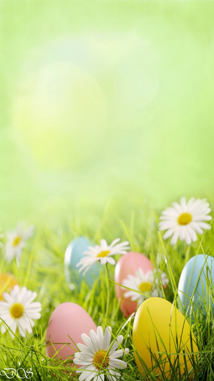 easter wallpaper iphone 0051