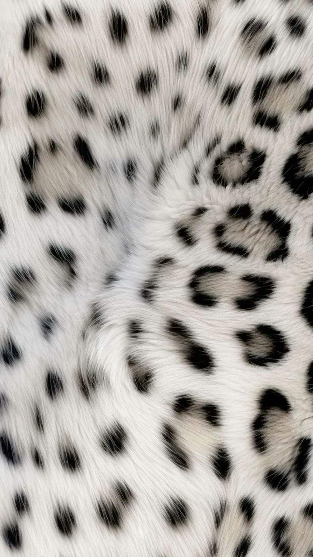 exotic cheetah wallpapers for iphone