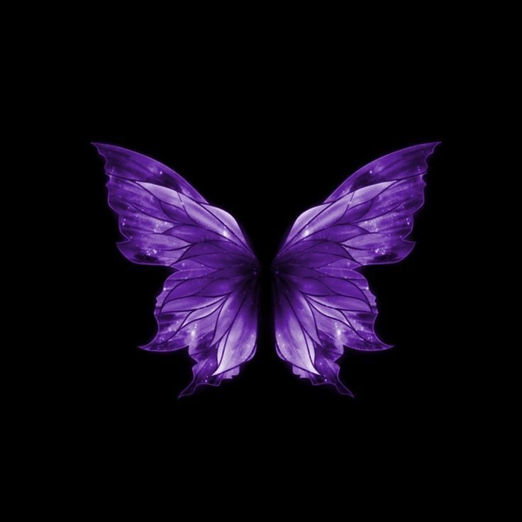 free iphone purple butterfly wallpaper resources.