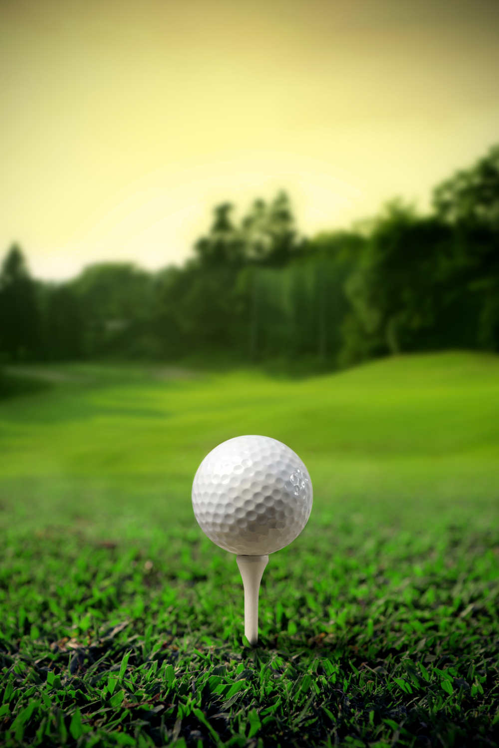 golf iphone wallpaper 0059