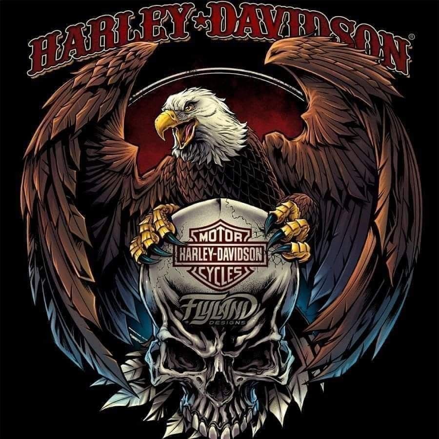 harley davidson wallpaper iphone 0042