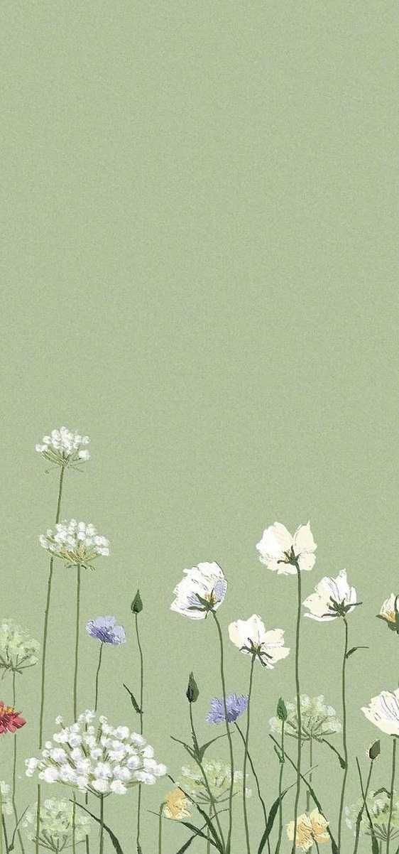 high-resolution iphone sage green wallpaper