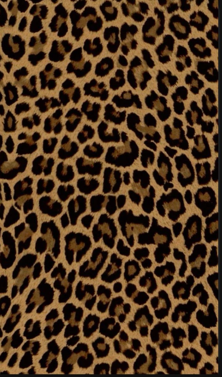 iphone cheetah wallpaper collection