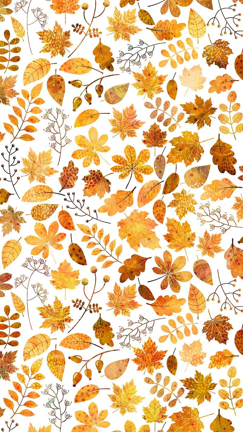 iphone cute fall wallpaper for home screen