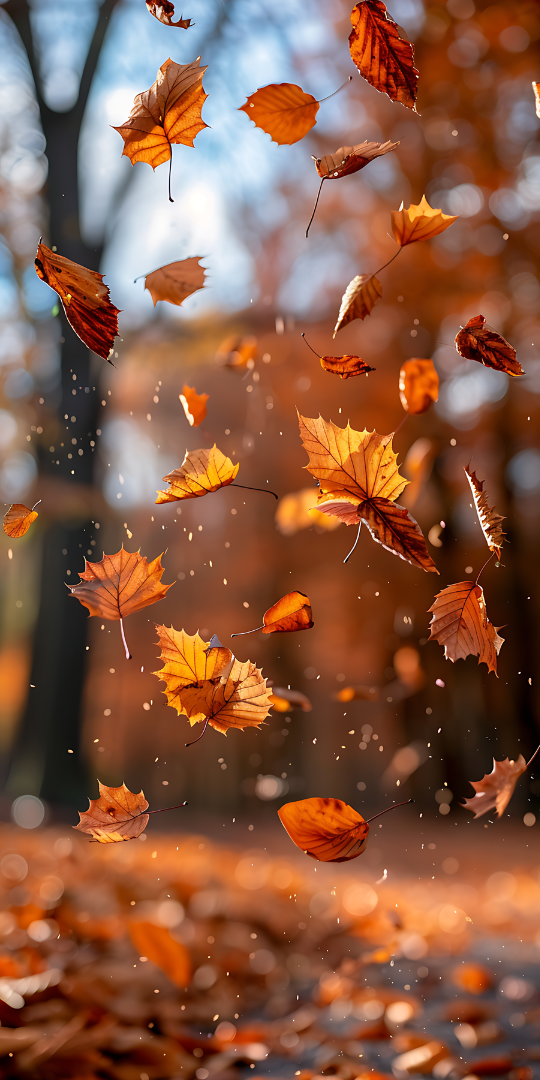 iphone cute fall wallpaper 0022