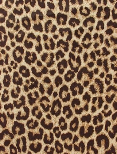 iphone leopard print wallpaper 0064