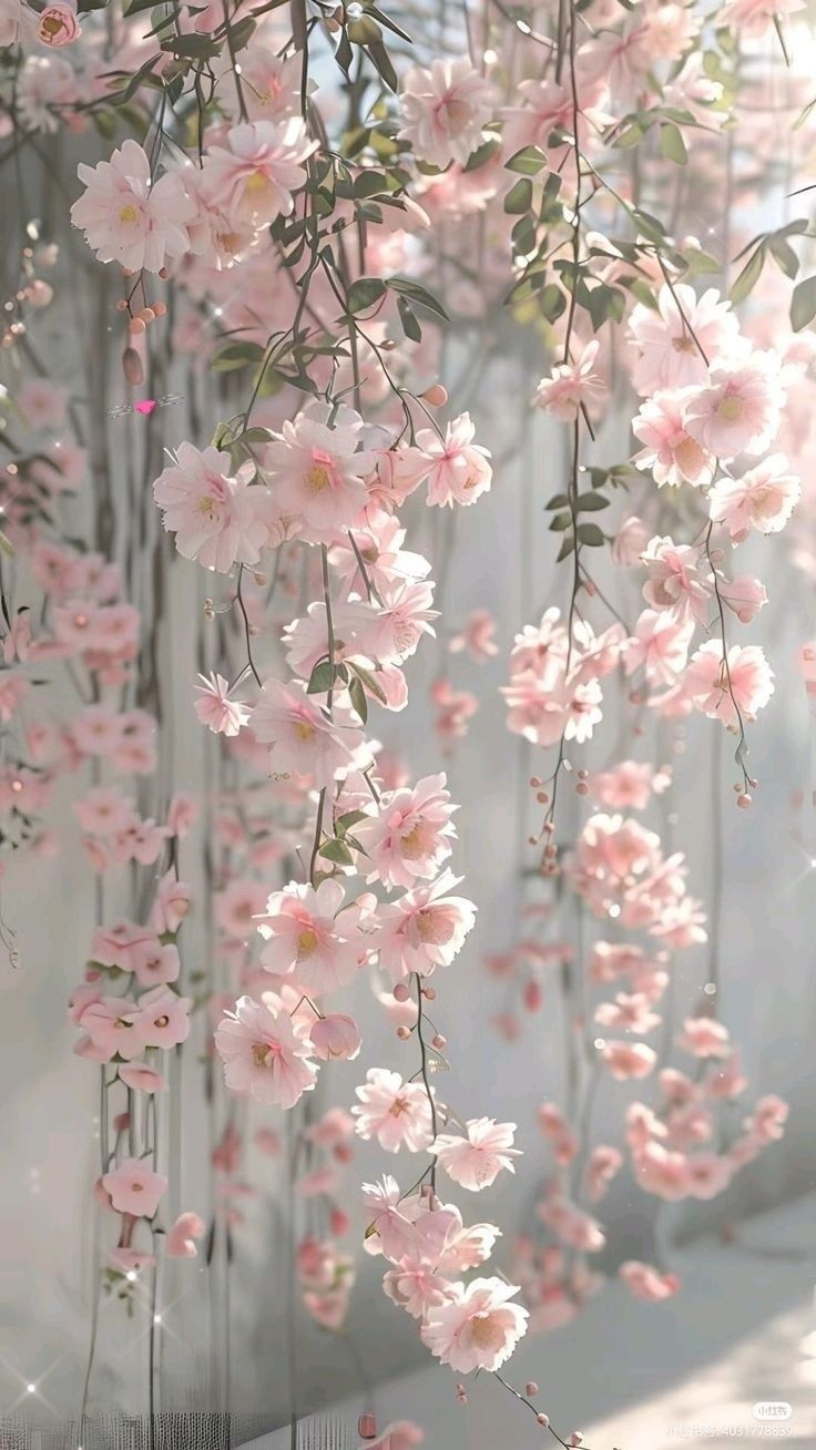 iphone pink flower wallpaper 0020