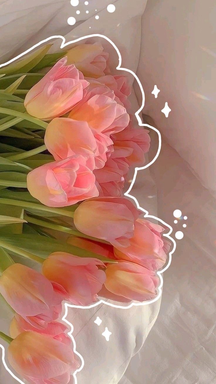 iphone pink flower wallpaper 0053