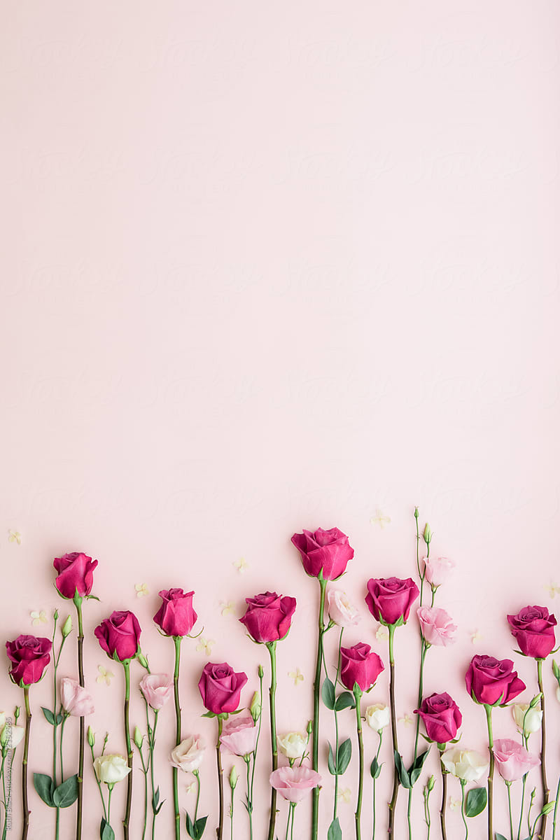 iphone pink flower wallpaper 0076